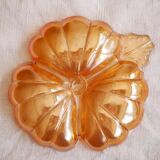 Empty pocket iridescent orange flower