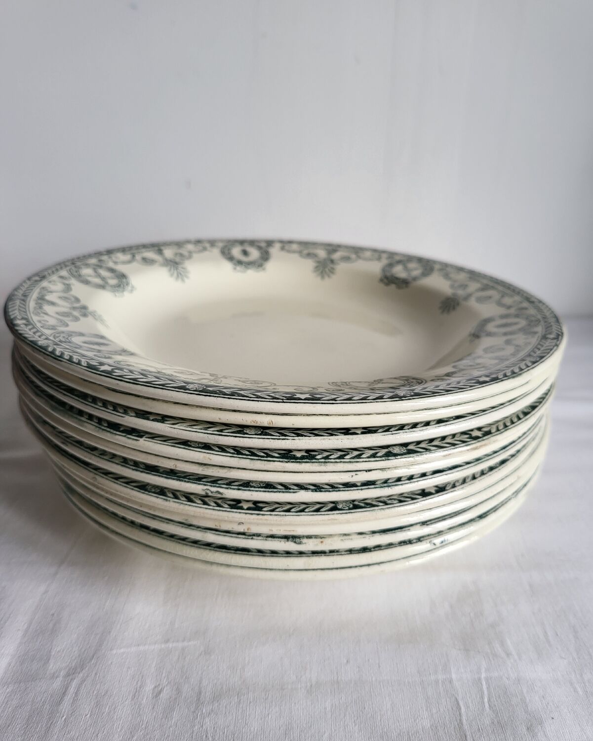 11 Deep Plates Ironstone Salins Cambacérès Decor