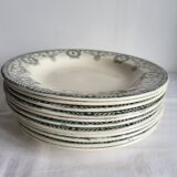 11 Deep Plates Ironstone Salins Cambacérès Decor