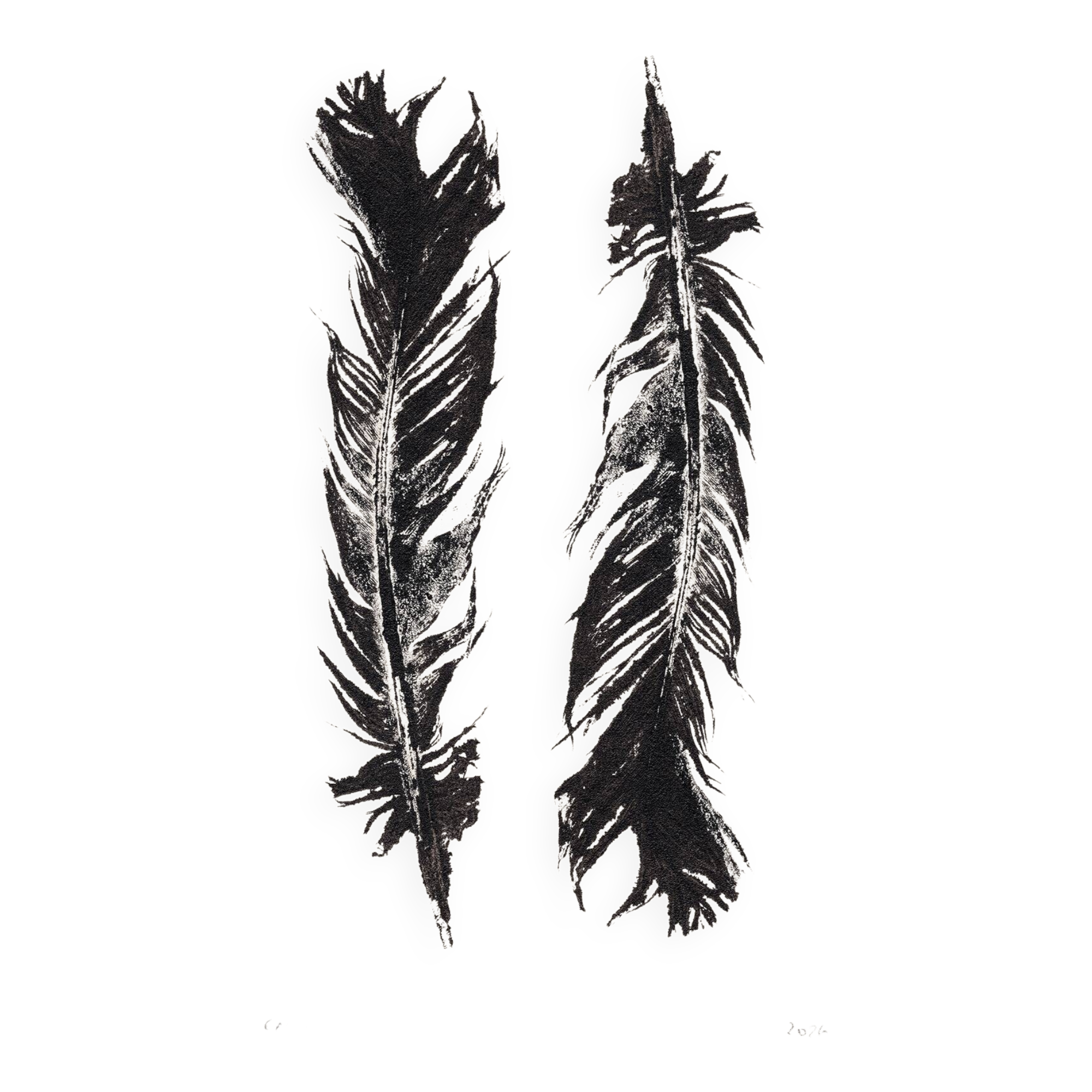 Tirage d'art Plumes Noires 50x70 par  Eawy
