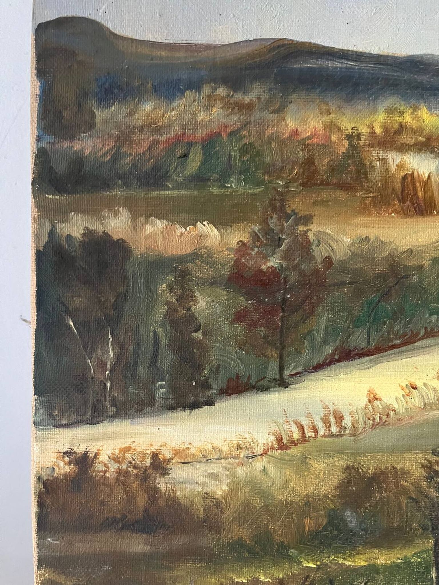 Paysage de printemps avec arbre, signé