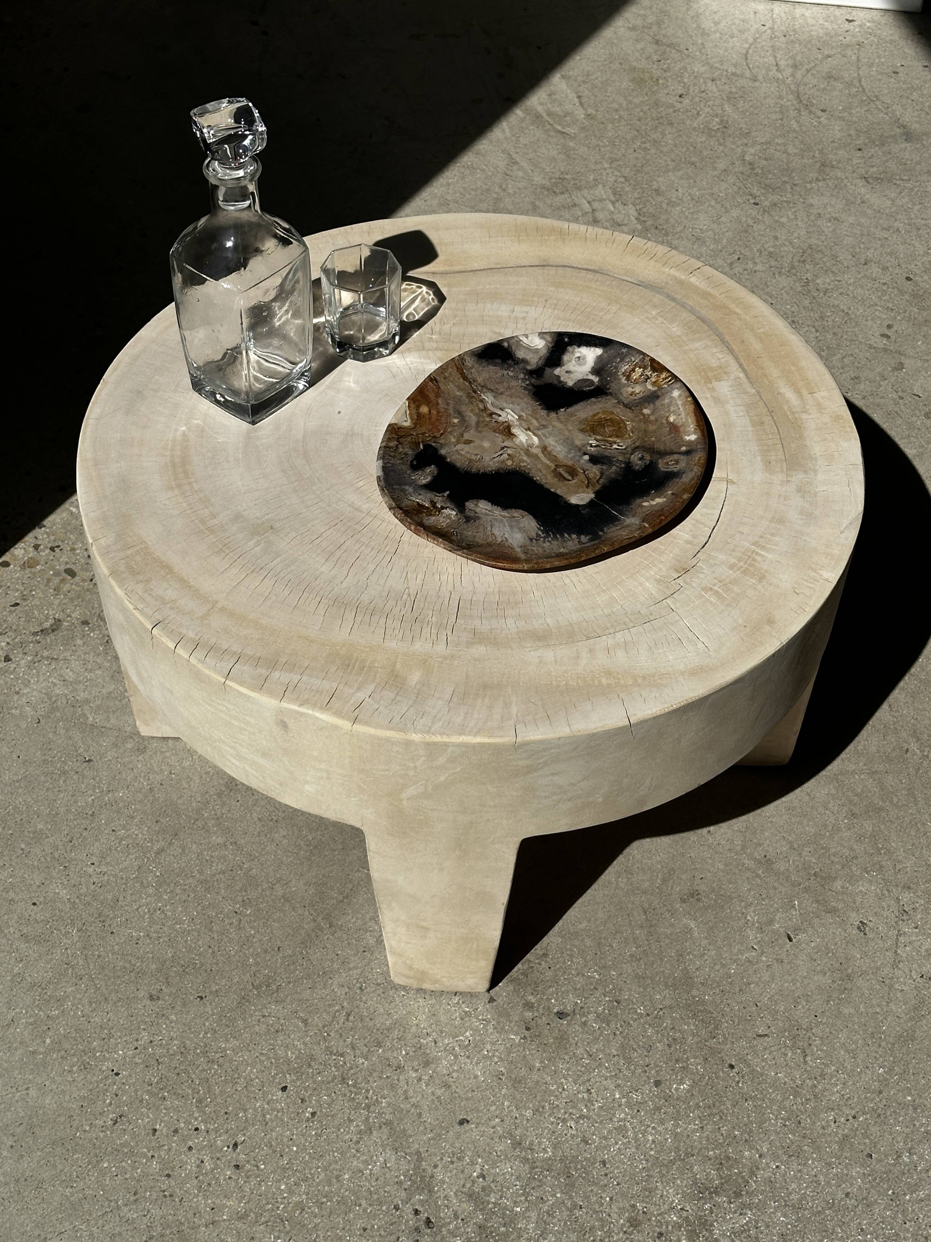 Large empty pocket or dish in petrified wood