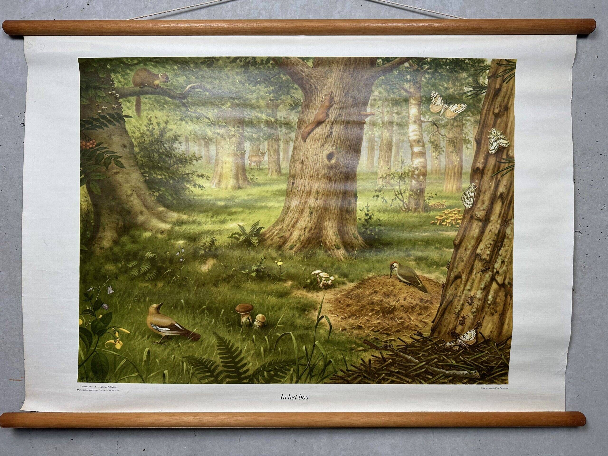 Vintage linen school chart – In the forest (M.A. Koekkoek)