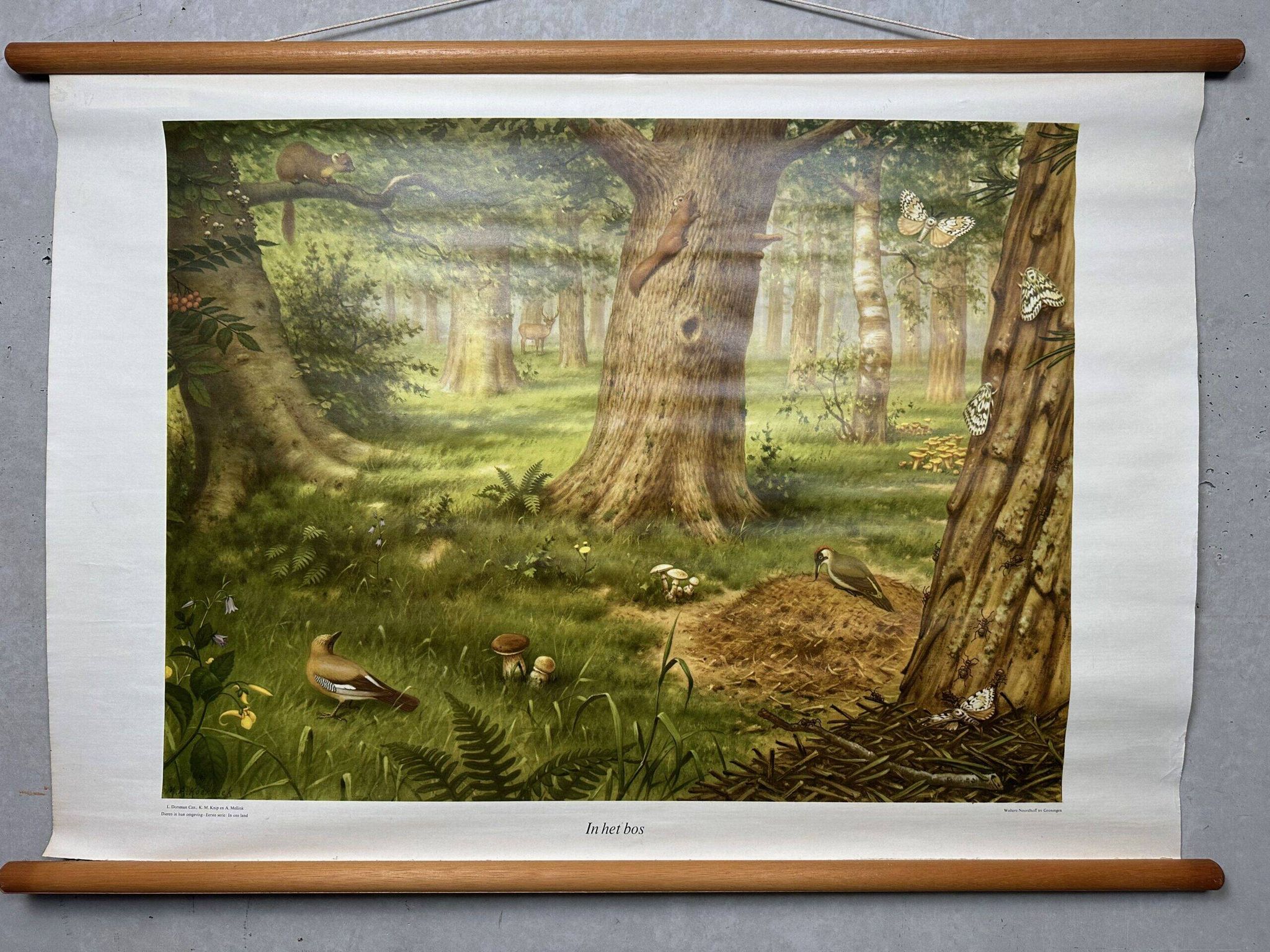 Affiche scolaire en lin vintage – Dans la forêt (M.A. Koekkoek)