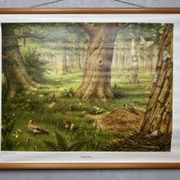 Affiche scolaire en lin vintage – Dans la forêt (M.A. Koekkoek)