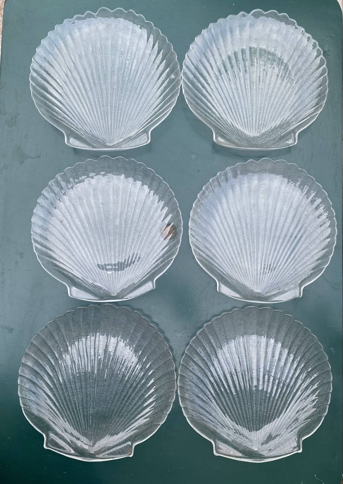 Grandes assiettes plates coquillage , Saint-Jacques 