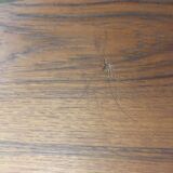 Small Sideboard in Teak by Herbert Hirche for Holzäpfel, Germany