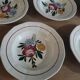 Hollow plates sarreguemines chatenois flowers