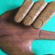 Hand carved in wood
