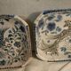 2 dishes "Cazaux "