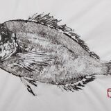 Gyotaku d'une dorade grise