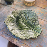 Empty cabbage leaf pocket
