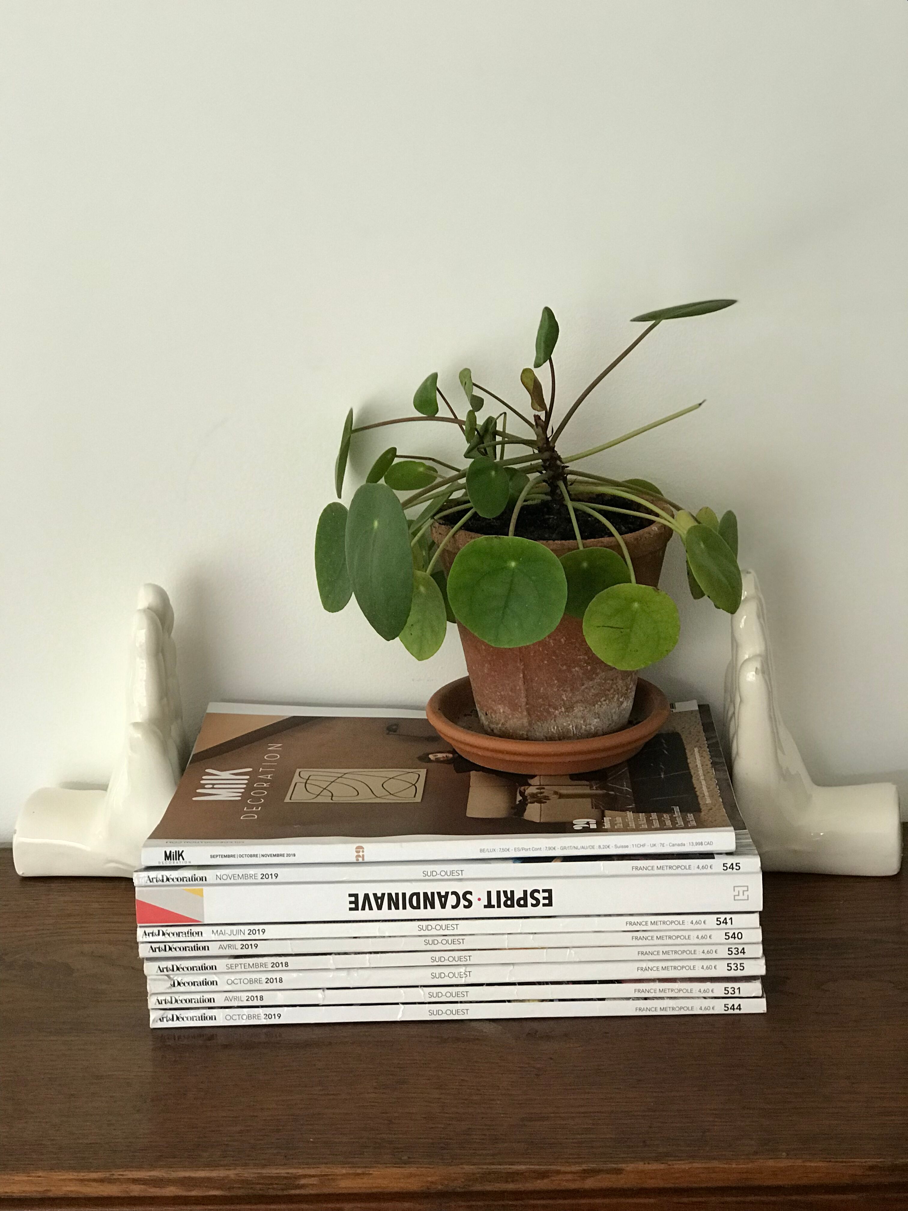 Hands tighten books in ceramics