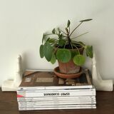 Hands tighten books in ceramics