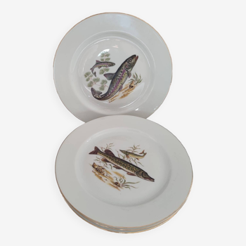 Set of 4 plates decorated with freshwater fish in Limoges porcelain