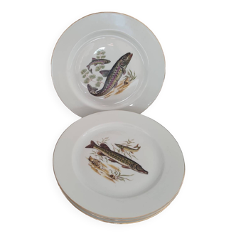 Lot de 4 Assiettes décor de Poisson d’eau douce en porcelaine de Limoges