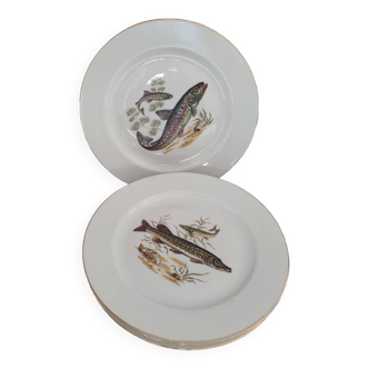 Set of 4 plates decorated with freshwater fish in Limoges porcelain