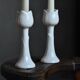 Pair tulip candlesticks
