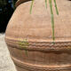 Terracotta jar