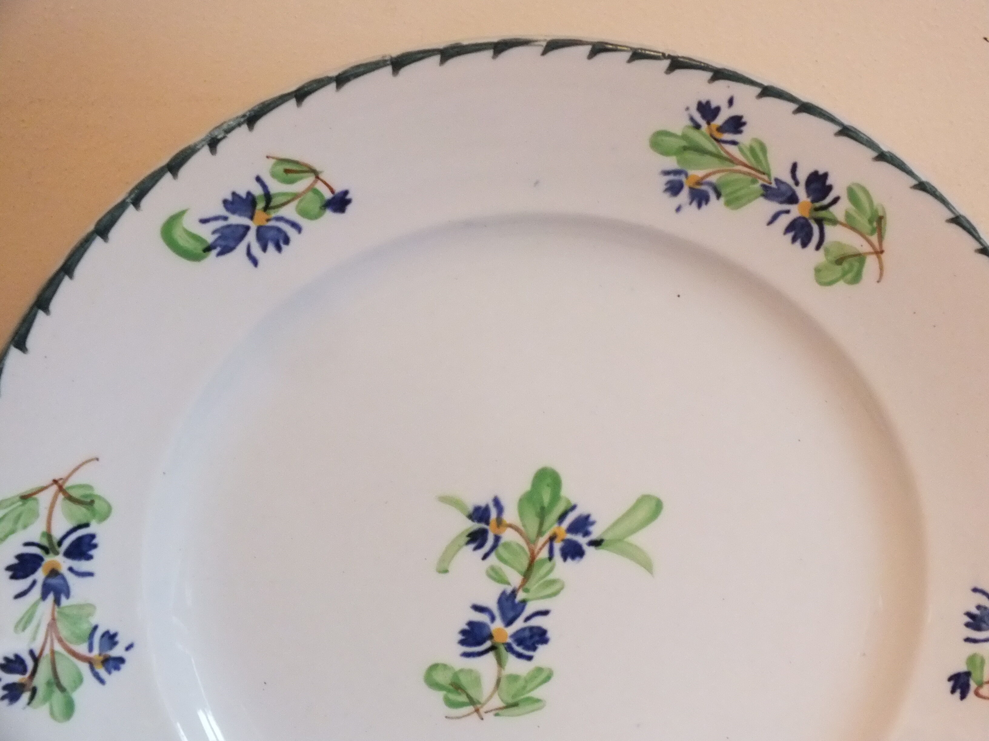10 flat plates in Iron earth blueberry décor