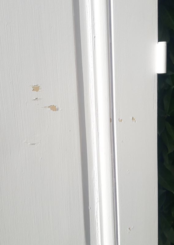 Pair of doors 229,5x110cm closet