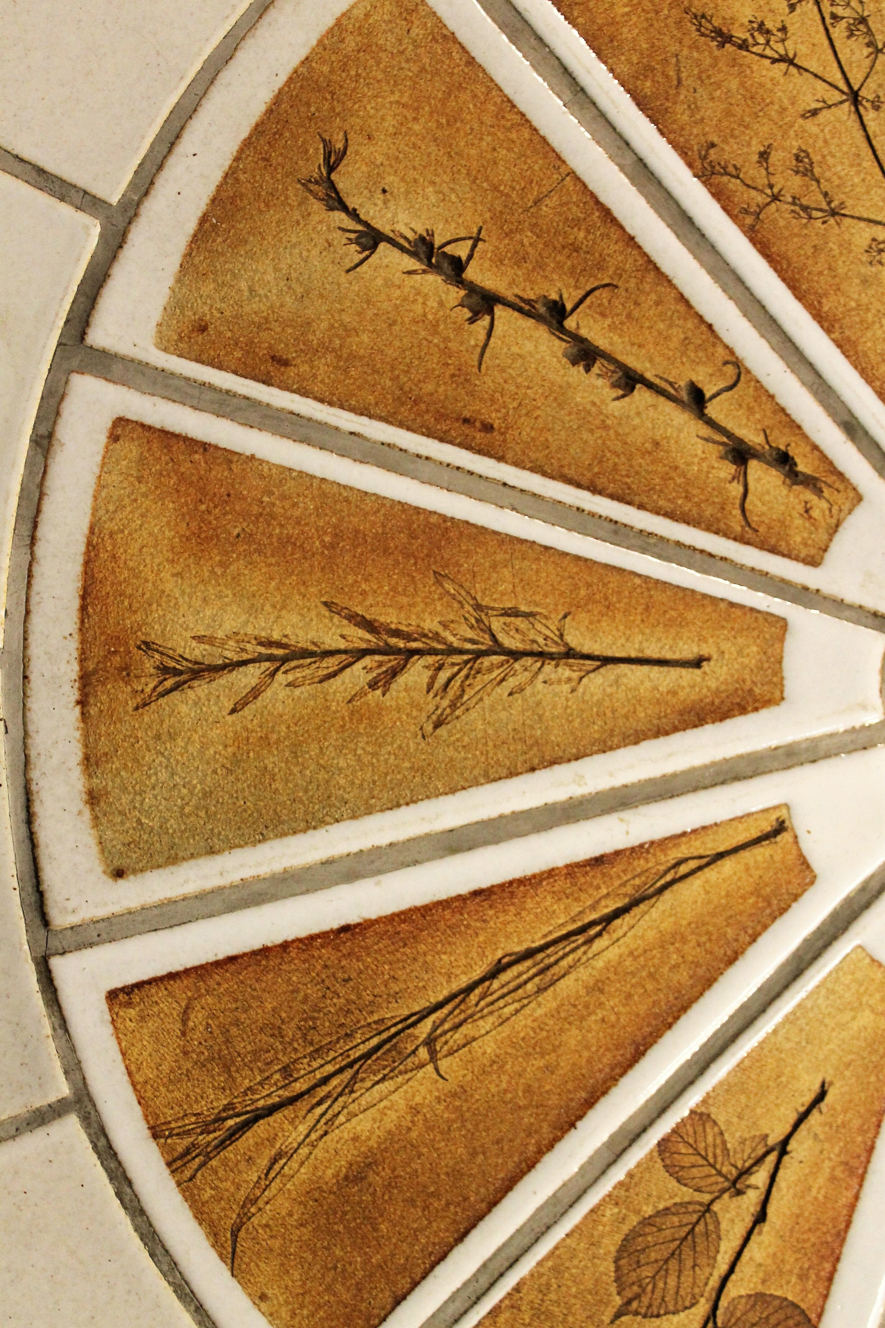 Coffee table "Herbarium" by Roger Capron 1960s