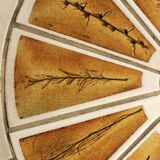 Coffee table "Herbarium" by Roger Capron 1960s