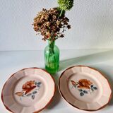 Lot de 2 assiettes anciennes en faïence Sarreguemines à décor floral