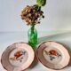 Set of 2 antique Sarreguemines earthenware plates with floral decoration