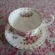 Royal Albert Porcelain Cup and Saucer (June)