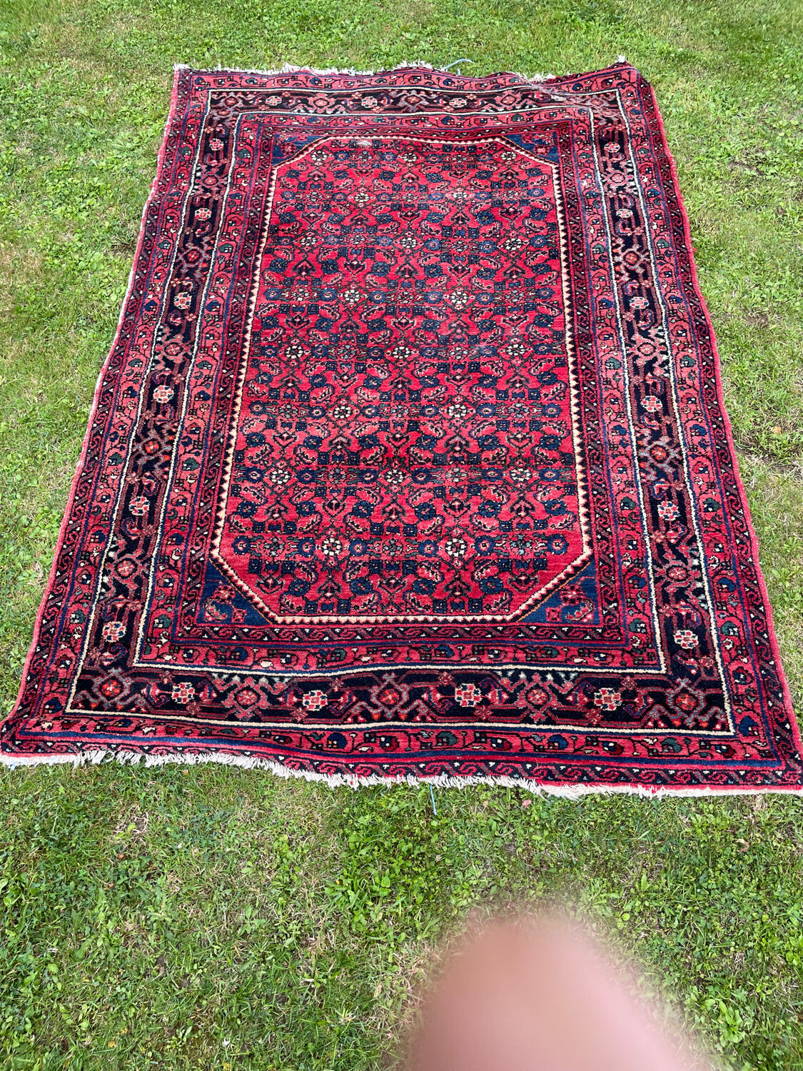 Oriental carpet