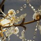 Chandelier 12 lamps with grapevines in crystal, bronze and regulated