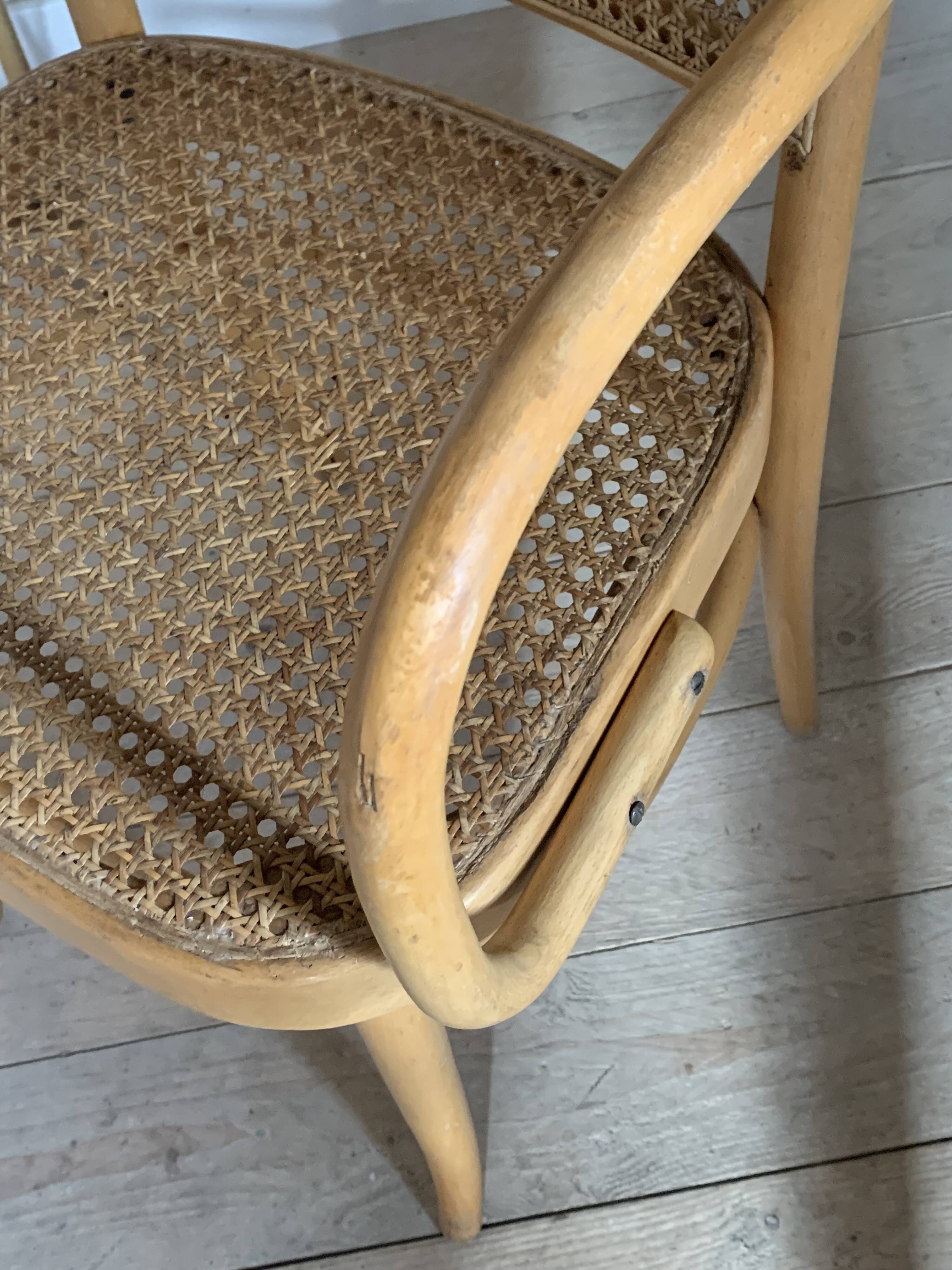 Vintage Hofmann cane armchair chair