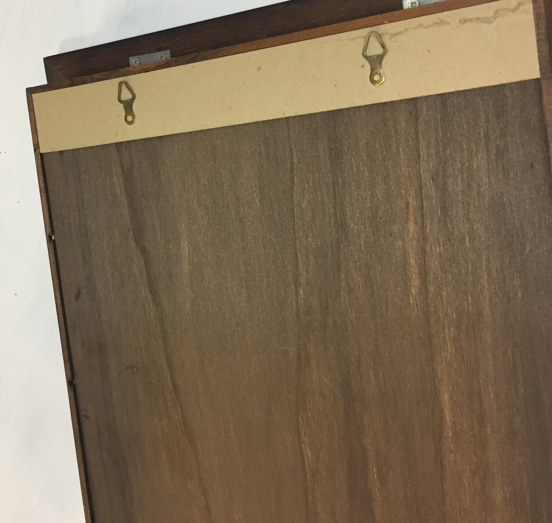 Vitrine en loupe & autruche