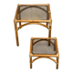 Rattan and smoked glass coffee table set
