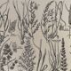 Lithograph on prairie flowers and flowers from 1921