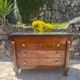 Commode empire retour D’Égypte en Acajou Flammé Époque XIX eme siècle