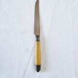 Box of 6 Appetizer Knives in Resin and Metal Vitolas Art Nouveau Style 19th Century