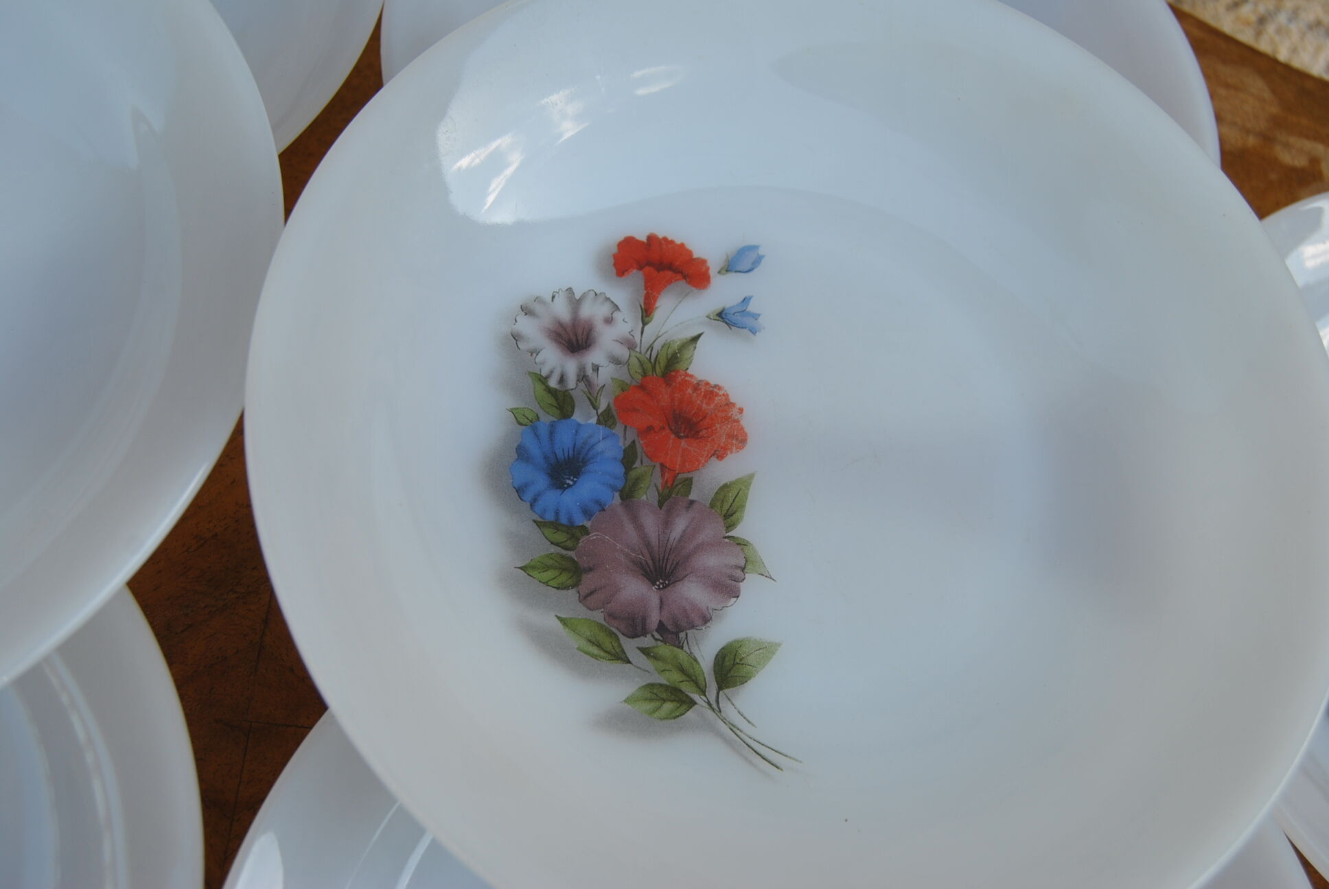 Set of 10 plates flowers of the fields - Arcopal - 70s - Vintage authentic