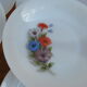 Set of 10 plates flowers of the fields - Arcopal - 70s - Vintage authentic