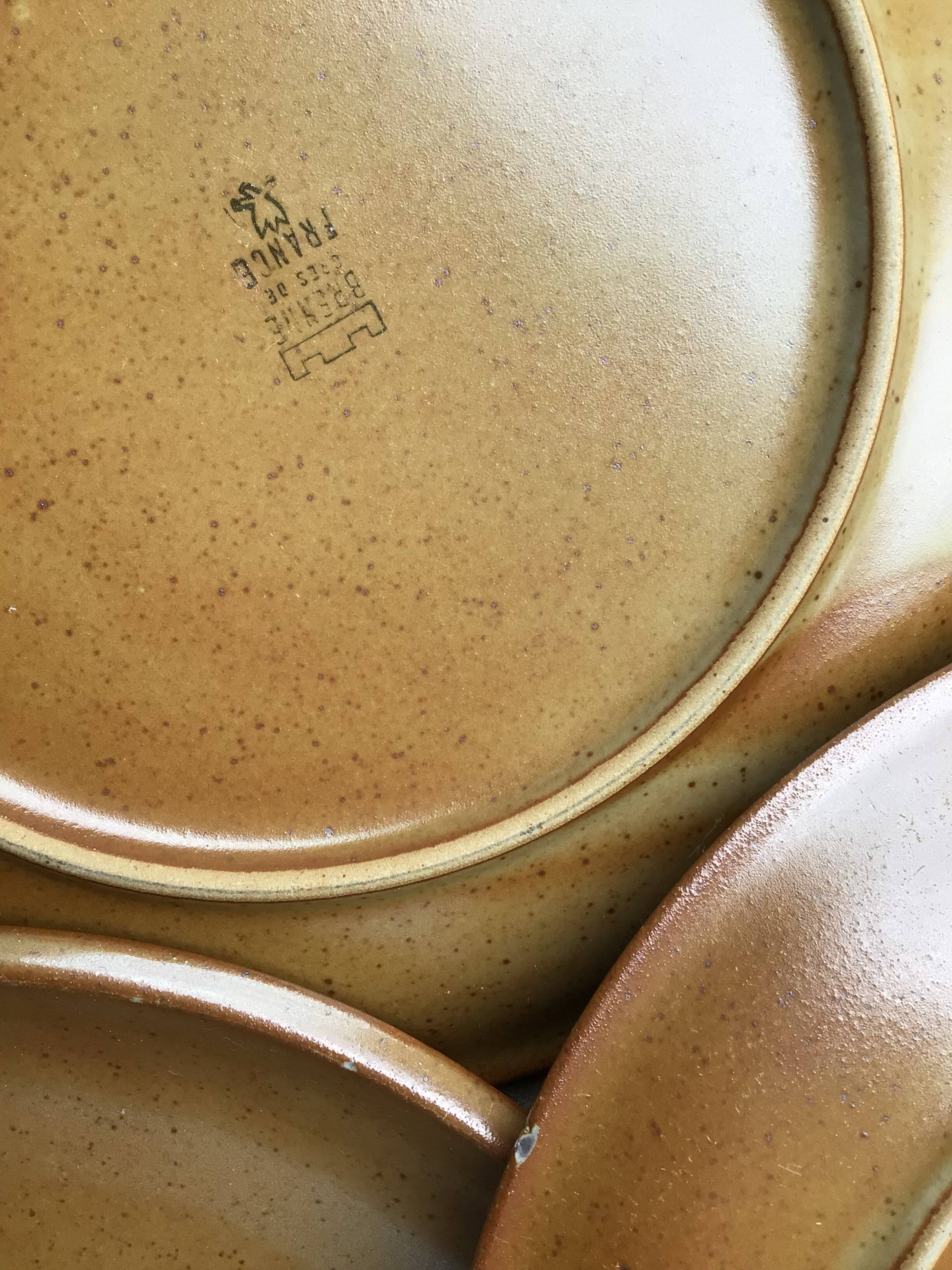 9 Brenne Stoneware Dinner Plates