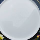 Xenia plate