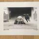 2 photographies Tauromachie Michel Pradel