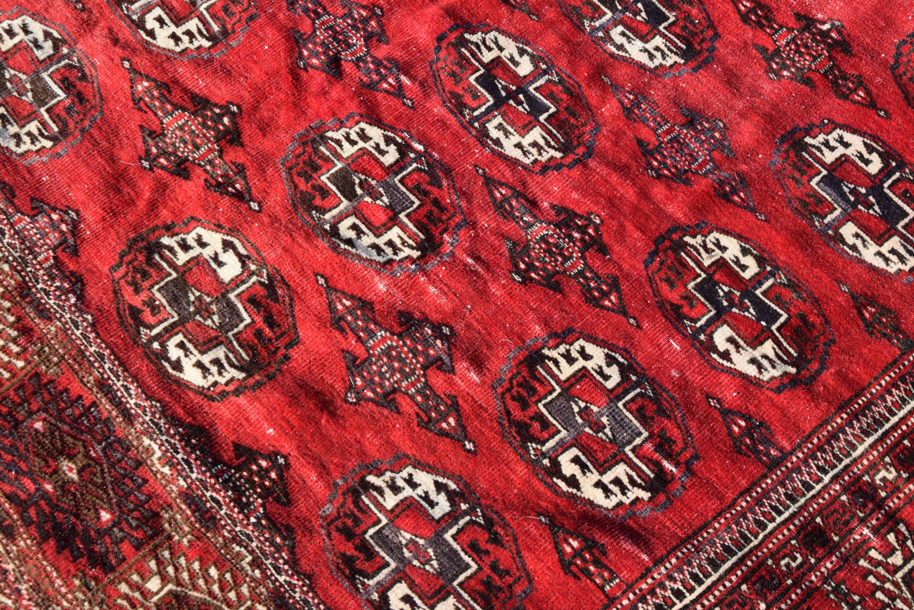 Tapis d'orient Boukhara Turkmène : 310 x 220 Cm