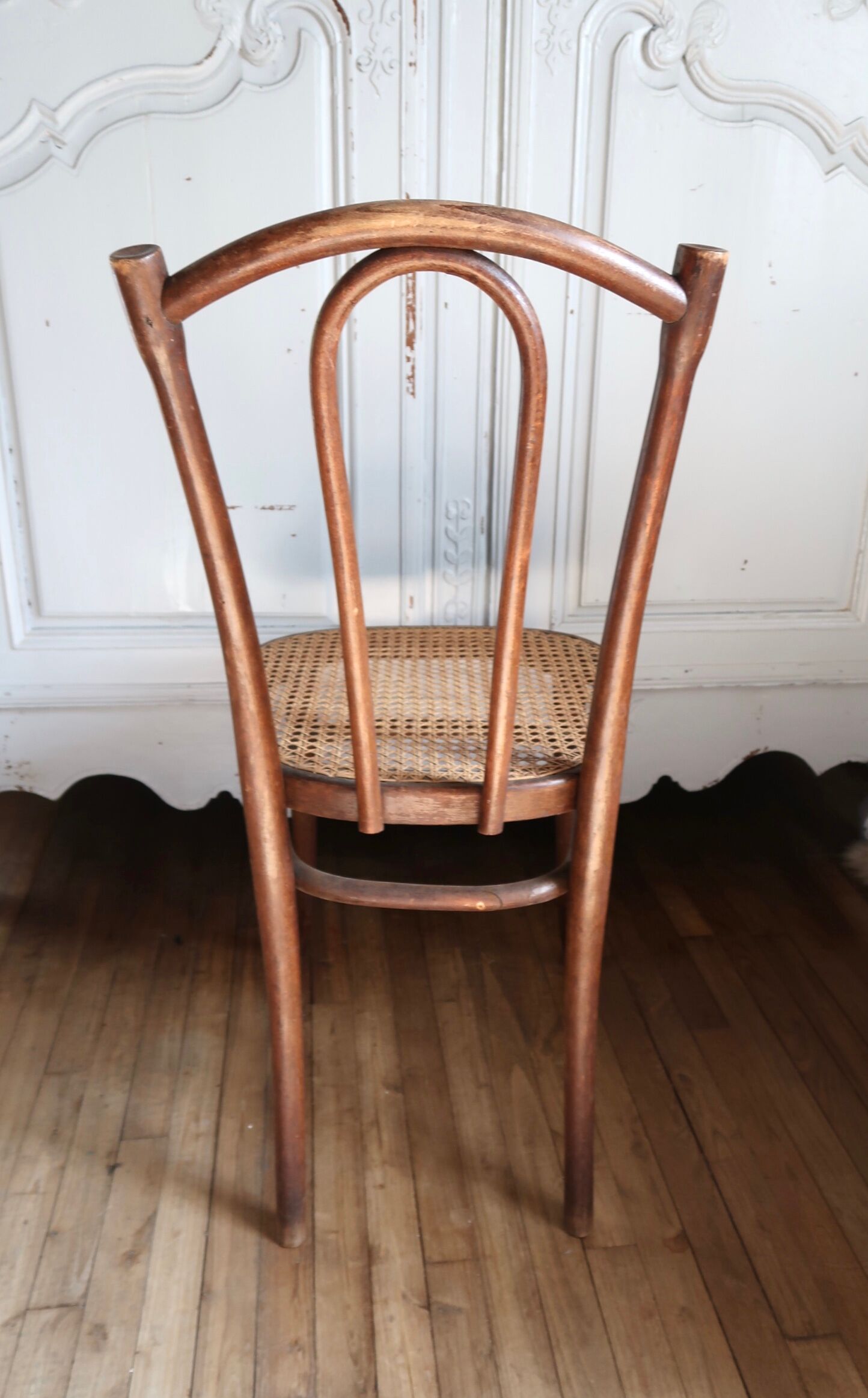 Canned bistro chair Thonet N°56 years 40
