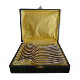 12 dessert spoons Apollo silver metal 1920 in case