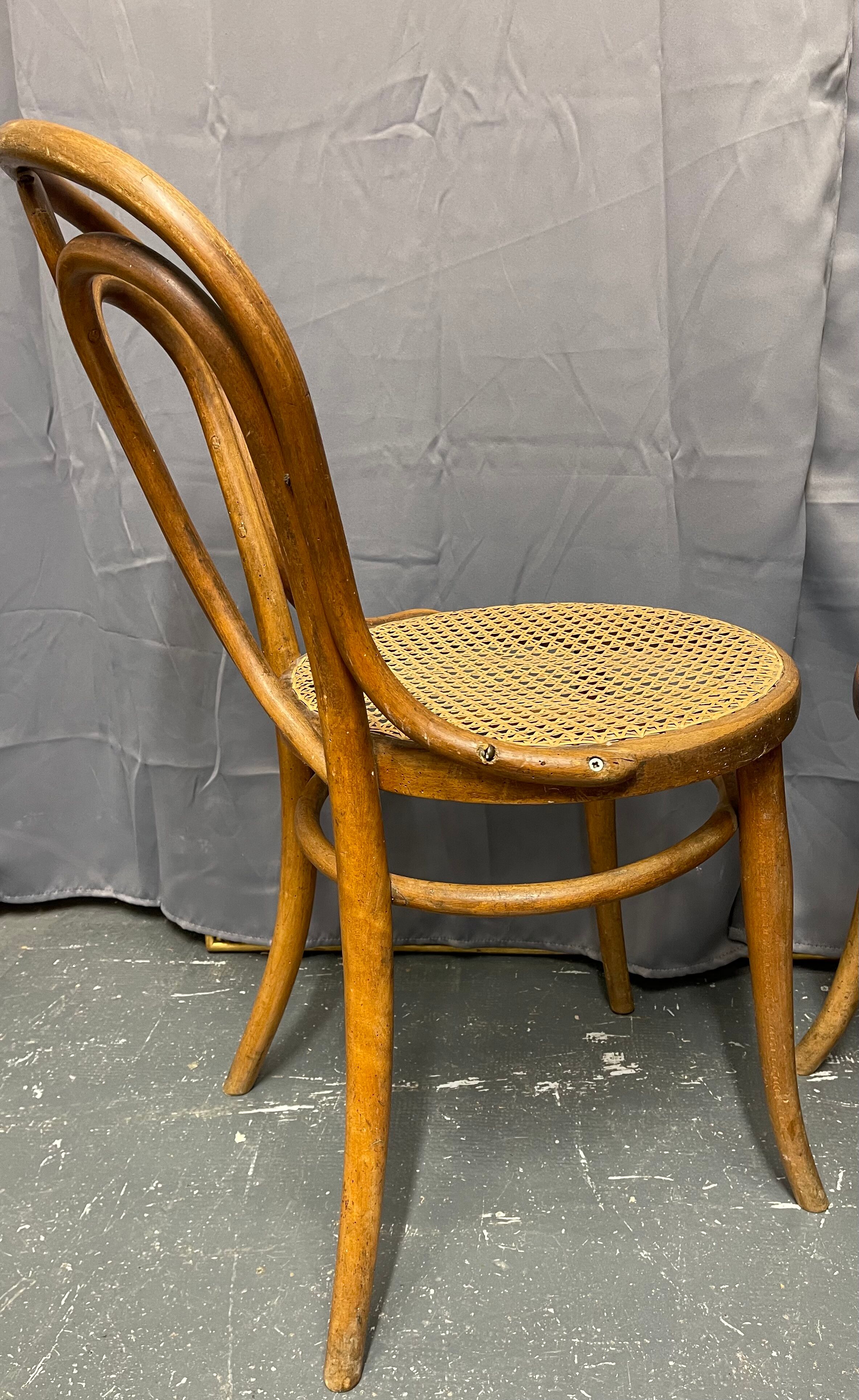 Paire de chaises Thonet n 19 estampillées thonet