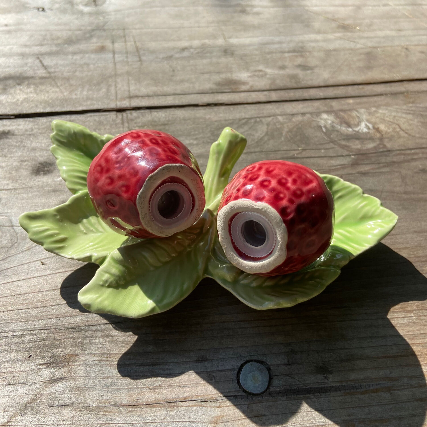 Salt shaker and pepper shaker in slip