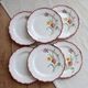 6 vintage ironstone dinner plates Salins model Pierrette