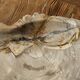 Very large pocket tray or dish in beige petrified wood D35